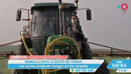 Cereales en Casas de Reina