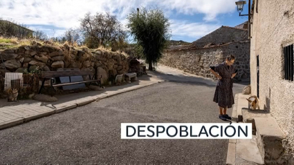 vidi despoblacion