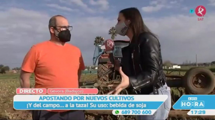 La soja que siembran en Gévora
