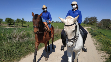 La mujer y el caballo