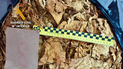 Tabaco oculto en una nave agrícola en Talayuela