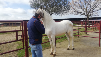Yeguada Vega Hermosa