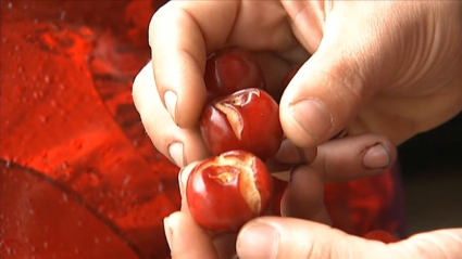 Imagen de las cerezas agrietadas por la lluvia de los últimos días