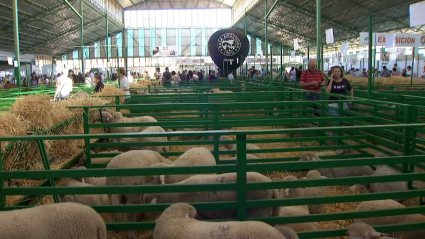 Imagen de uno de los pabellones de la Feria Internacional Ganadera de Zafra