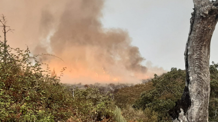 Incendio Villanueva de la Vera