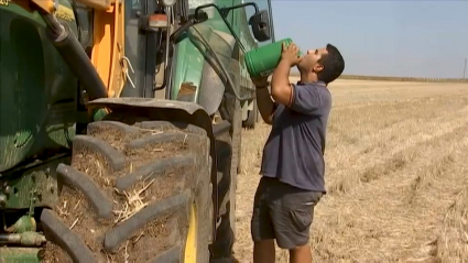Agricultor refrescándose gracias a un botijo