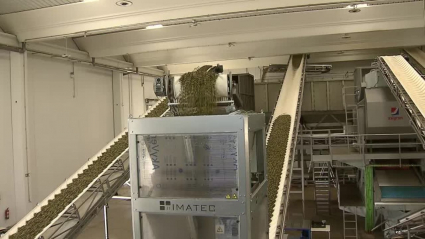 Instalaciones de la almazara Olivamente en Lobón