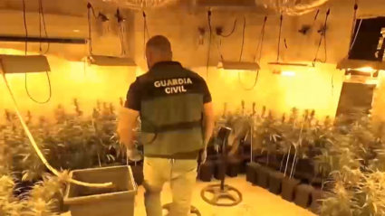 Agente de la Guardia Civil durante la operación