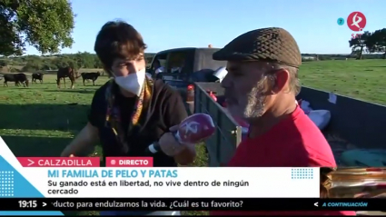Burros
