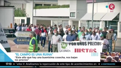 Por una aceituna más justa