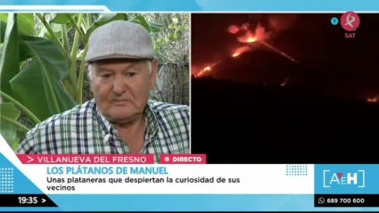 Manolo y la Palma