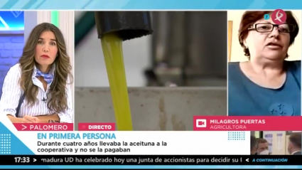 Protestas sobre la aceituna