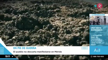 "El olor es insoportable"