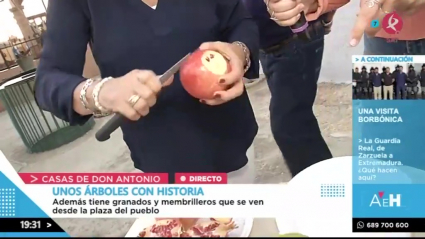Granadas en Casas de Don Antonio