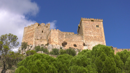 CASTILLO DE LUNA ALBURQUERQUE -  MUÉVETE