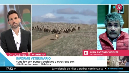 Jubilación en animales