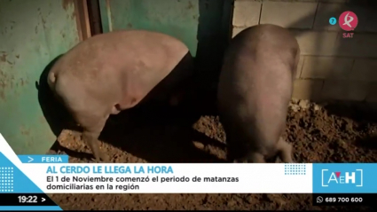 Matanzas en noviembre