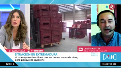 Irregularidades en el campo