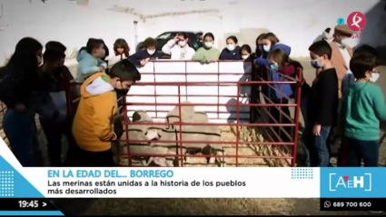 Los niños pastores de Don Benito
