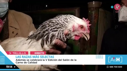 La Feria Agroganadera de Trujillo