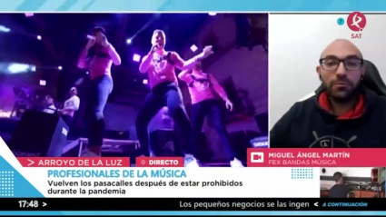Profesionales de la música