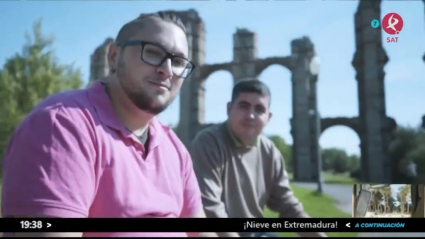 Plena inclusión