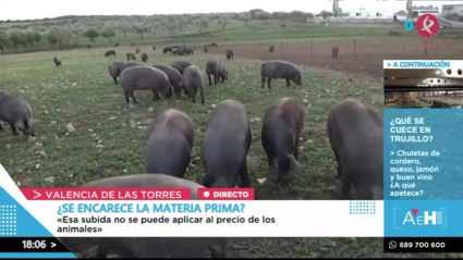 ¿Se encarece el precio de la cesta de Navidad?