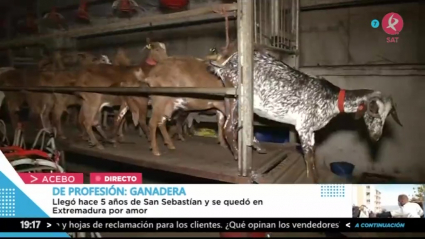 De profesión, ganadera