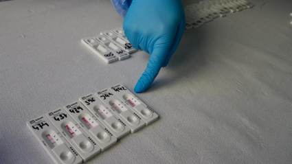 Muestra de resultados en tests de antígeno