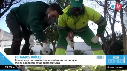 Jardinero por un día