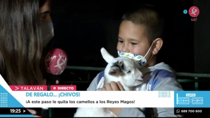 Y de regalo... ¡chivos!