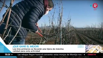 Concurso de poda