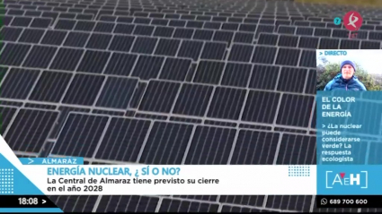 Energía nuclear, ¿energía verdad?
