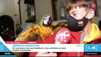 Los animales de La Zarza