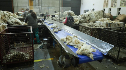Industria ovina