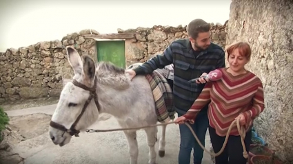 Platero se pone guapo para pasear