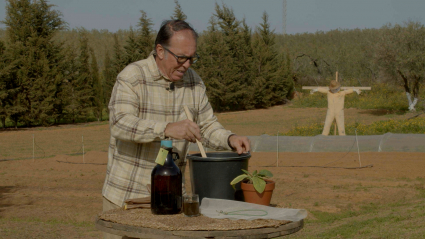 Aprende a hacer purín de consuelda con Fernando