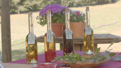 Vinagres aromatizados