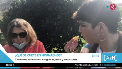 Las naranjas de Hornachos