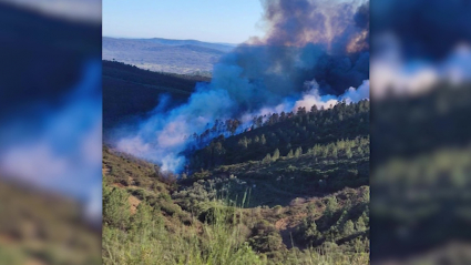 Incendio en Valverde