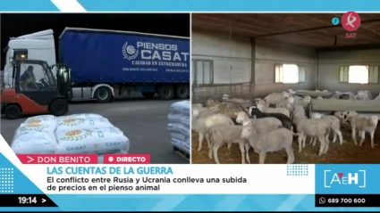 El pienso en Extremadura