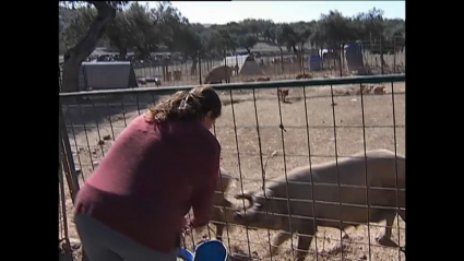 mujer en el campo