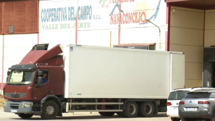 Cooperativa de cerezas del Valle del Jerte