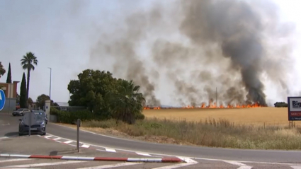 Incendio cercano al tanatorio en Mérida