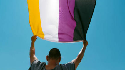 Bandera Personas No Binarias