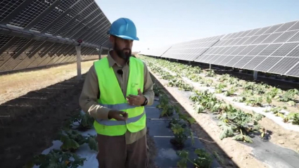 agrivoltaica en 'La besana en verde'