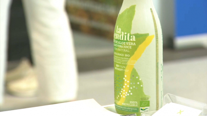 Aloe vera bebible