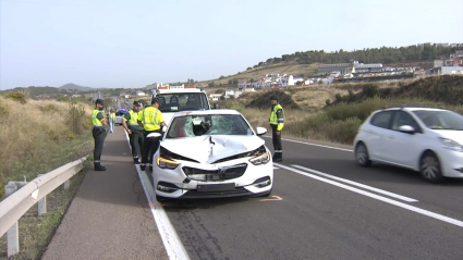 Atropello en Jerez de los Caballeros