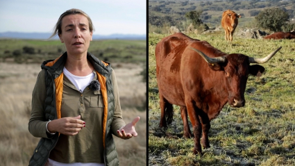 La ganadera Beatriz Pablos en su finca de Trujillo