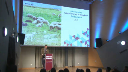Informe agricultura y ganadería 2021
